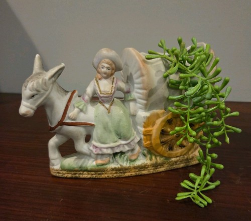 Vintage covered wagon plant - covered,